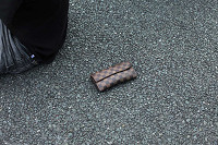 20100918_250_thumb.jpg
